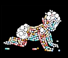 Canadian newborns are routinely exposed to antibiotics