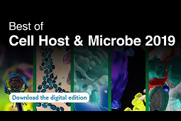 CHILD breast milk article among top 11 of 2019: Cell Host & Microbe