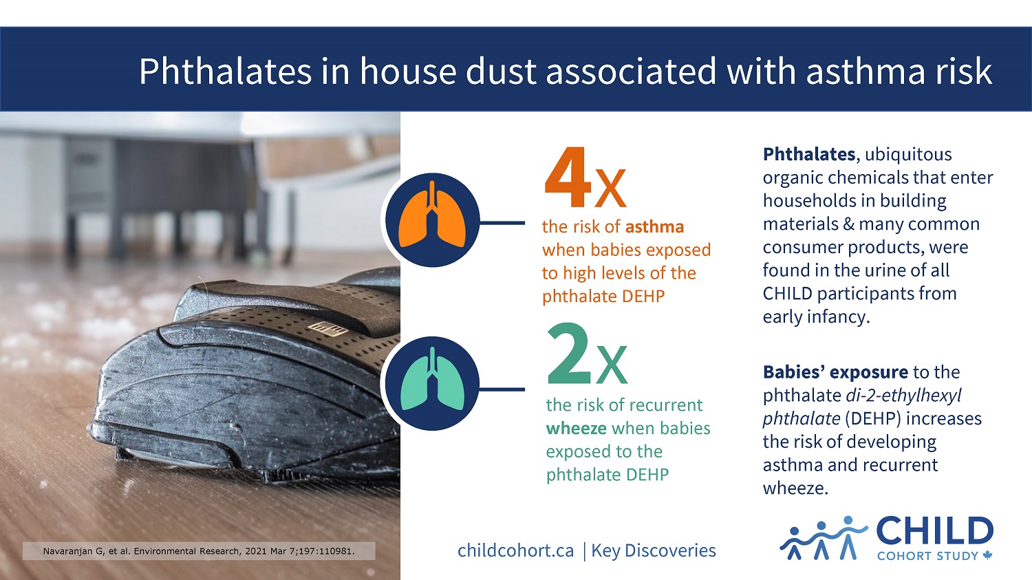 20-phthalates-dust