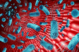 SyMBIOTA and CHILD shed more light on the gut microbiome