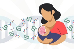 Fatty acids and sugars in breastmilk are related to infant neurodevelopment
